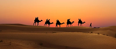 Evening Desert Safari in Dubai
